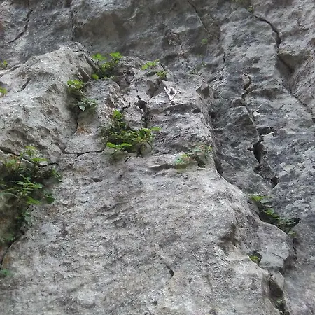 Aspetto * Volargne
