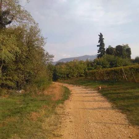 Aspetto Volargne